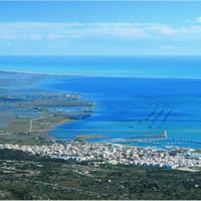 Vista Aeria 1